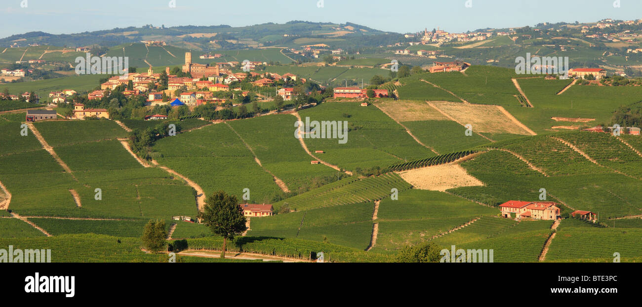 Panoramic view on vineyards and cultivated fields of Piedmont in northern Italy. Stock Photo