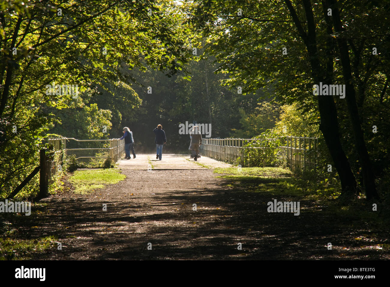 Woodland walk near Richmond, North Yorkshire. Stock Photo
