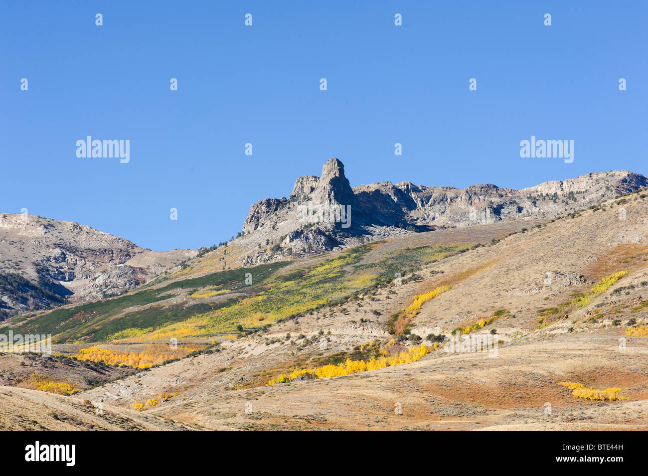 Rocky peaks surrounding Angel Creek Campground with Aspen trees in fall colors, northern Nevada Stock Photo