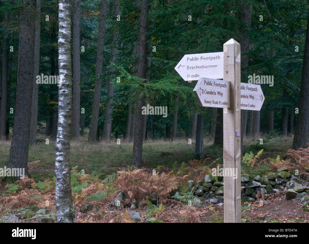 signpost on the Cumbria Way long distance walk, Torver near Coniston, Lake District Stock Photo