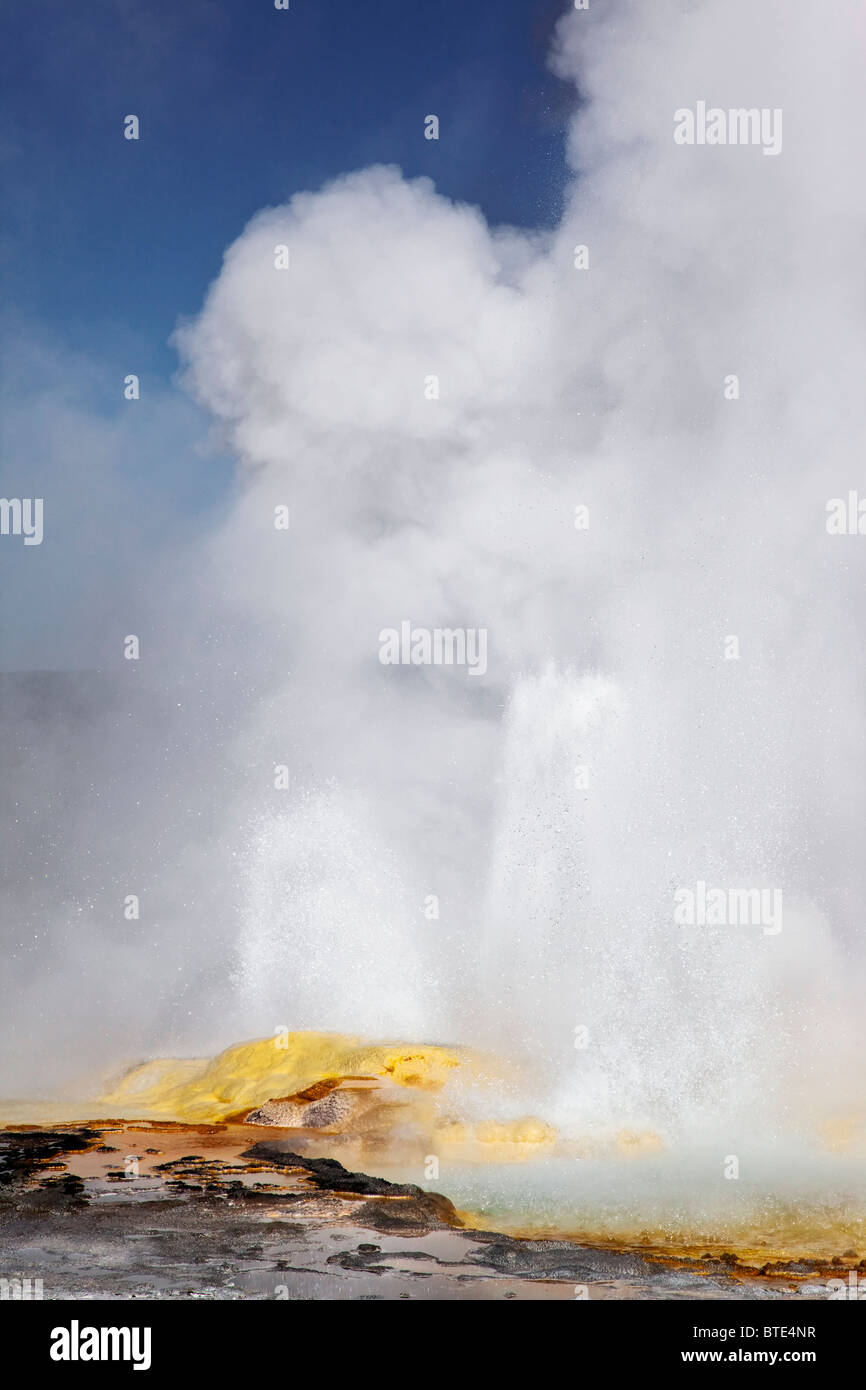 Yellowstones Clepsydra Geyser erupting Stock Photo