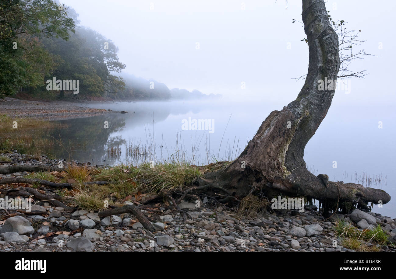 Misty morning, Coniston Water, Cumbria Stock Photo