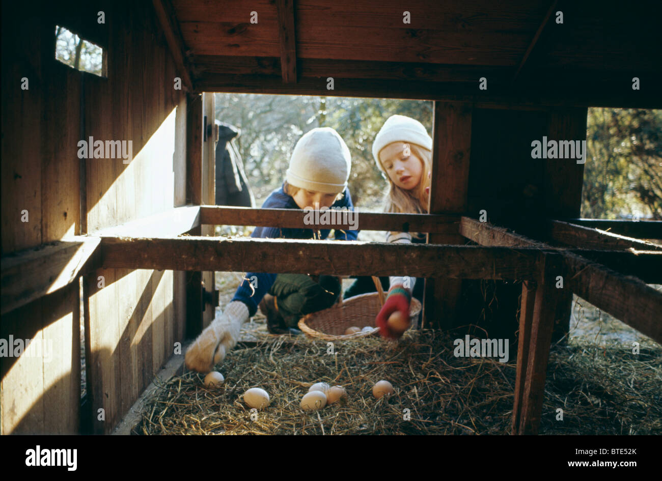 View of henhouse with Children collecting eggs to paint for Easter