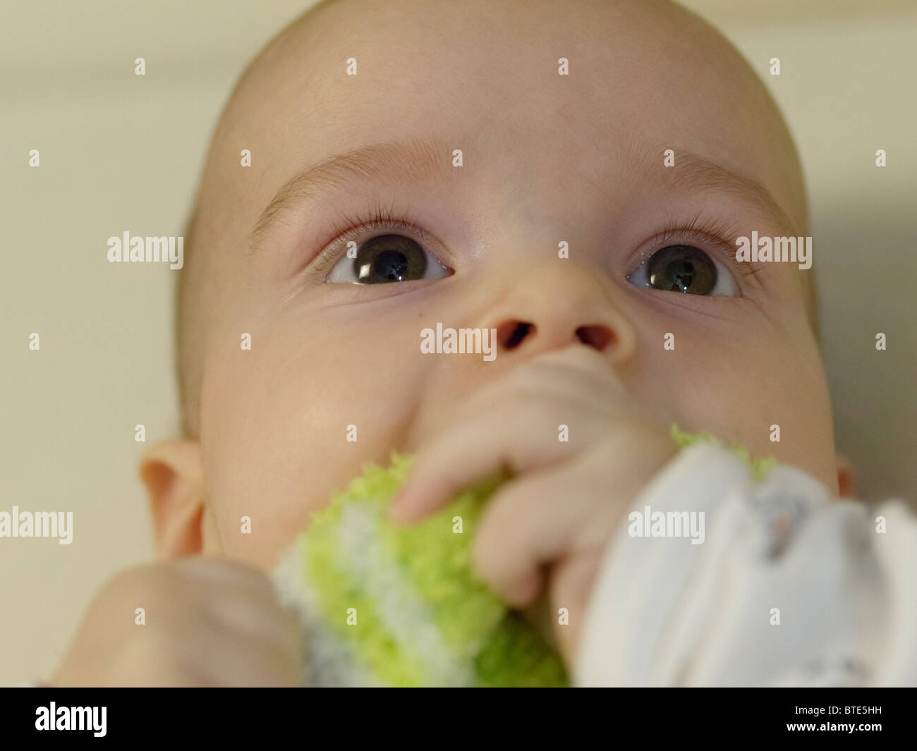 A toddler nibbles on his green sock! Stock Photo