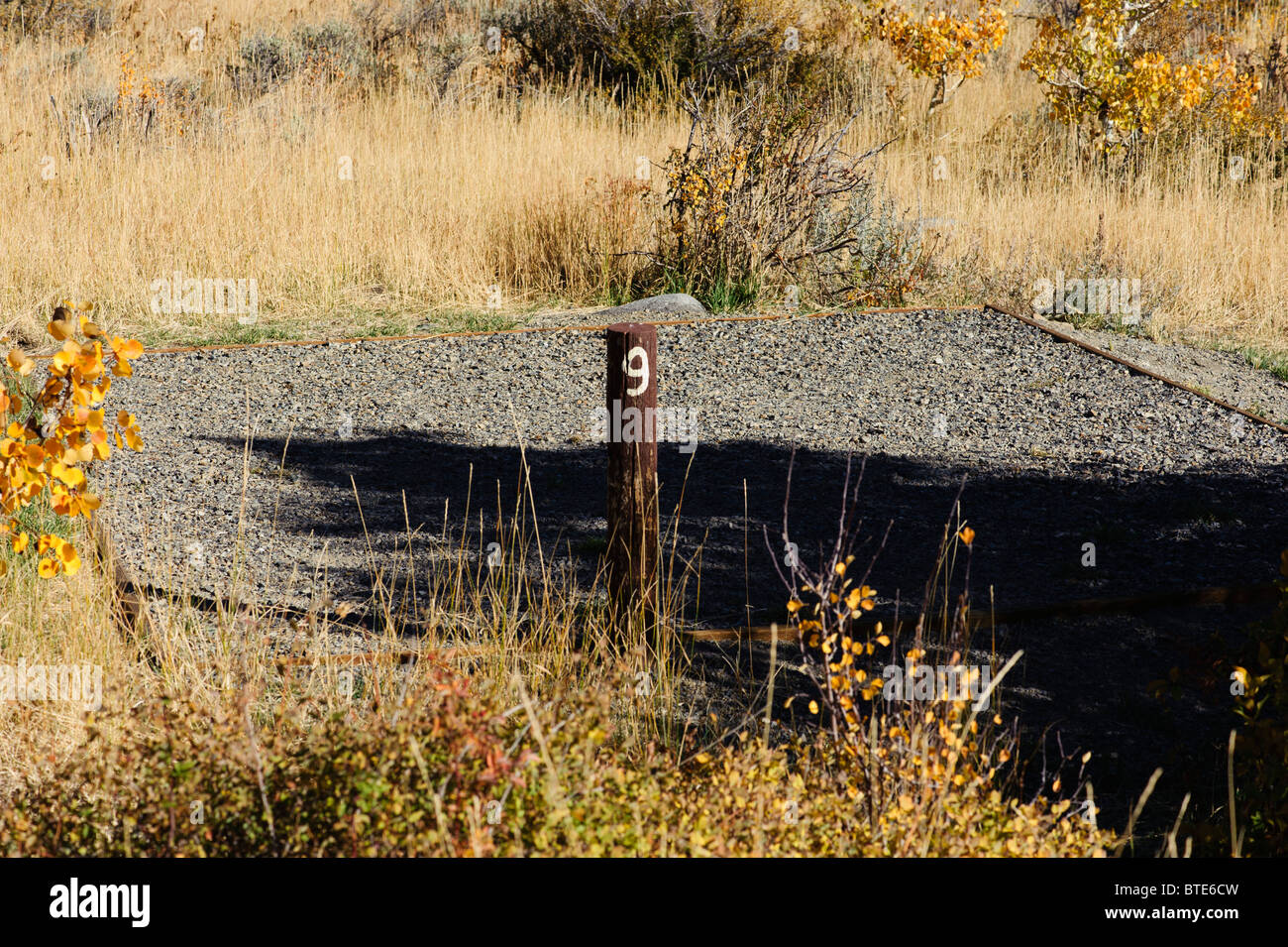 Nevada's Hidden Gem: Angel Creek Campground – Escape to Serenity