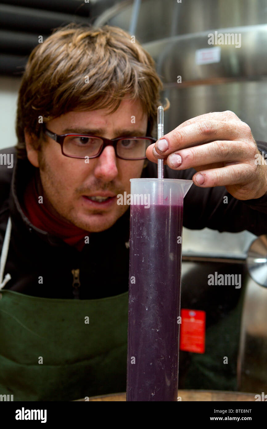 Man using a hydrometer to measure the specific gravity of red wine in a