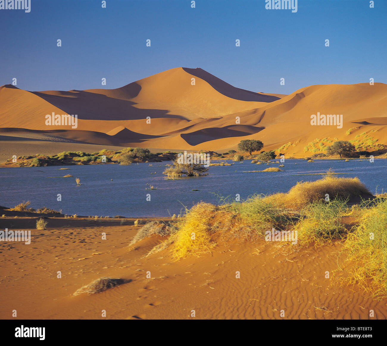 The Nara vlei after a brief rain storm Stock Photo