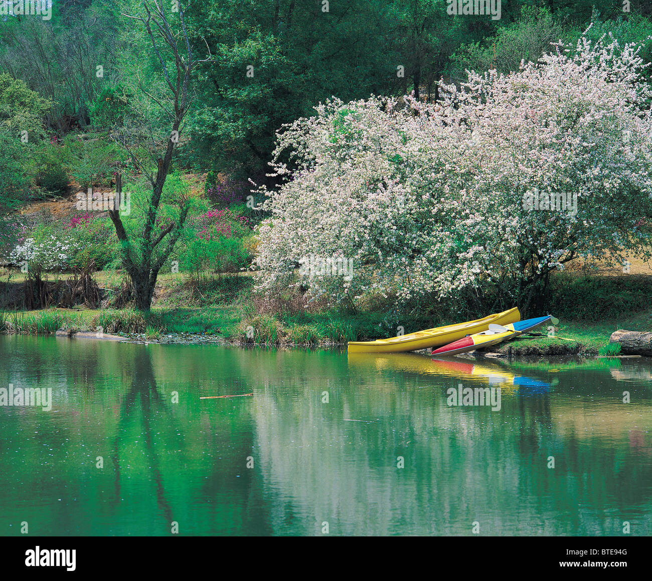 Springtime in the Northern Province Stock Photo