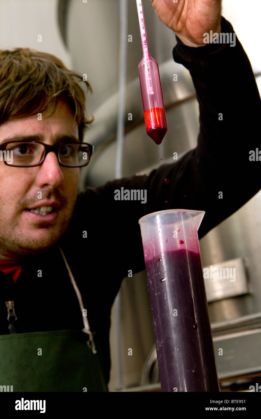 Man using a hydrometer to measure the specific gravity of red wine in a