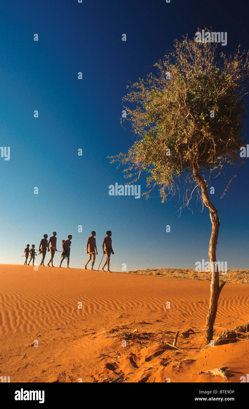 A group of Bushman walking in single file on a red dune Stock Photo