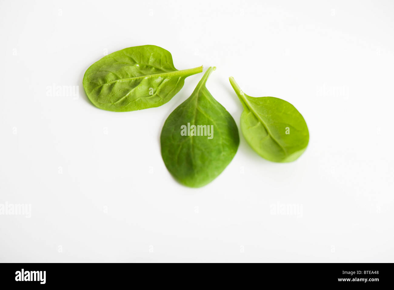 Baby leaf spinach cut out hi-res stock photography and images - Alamy
