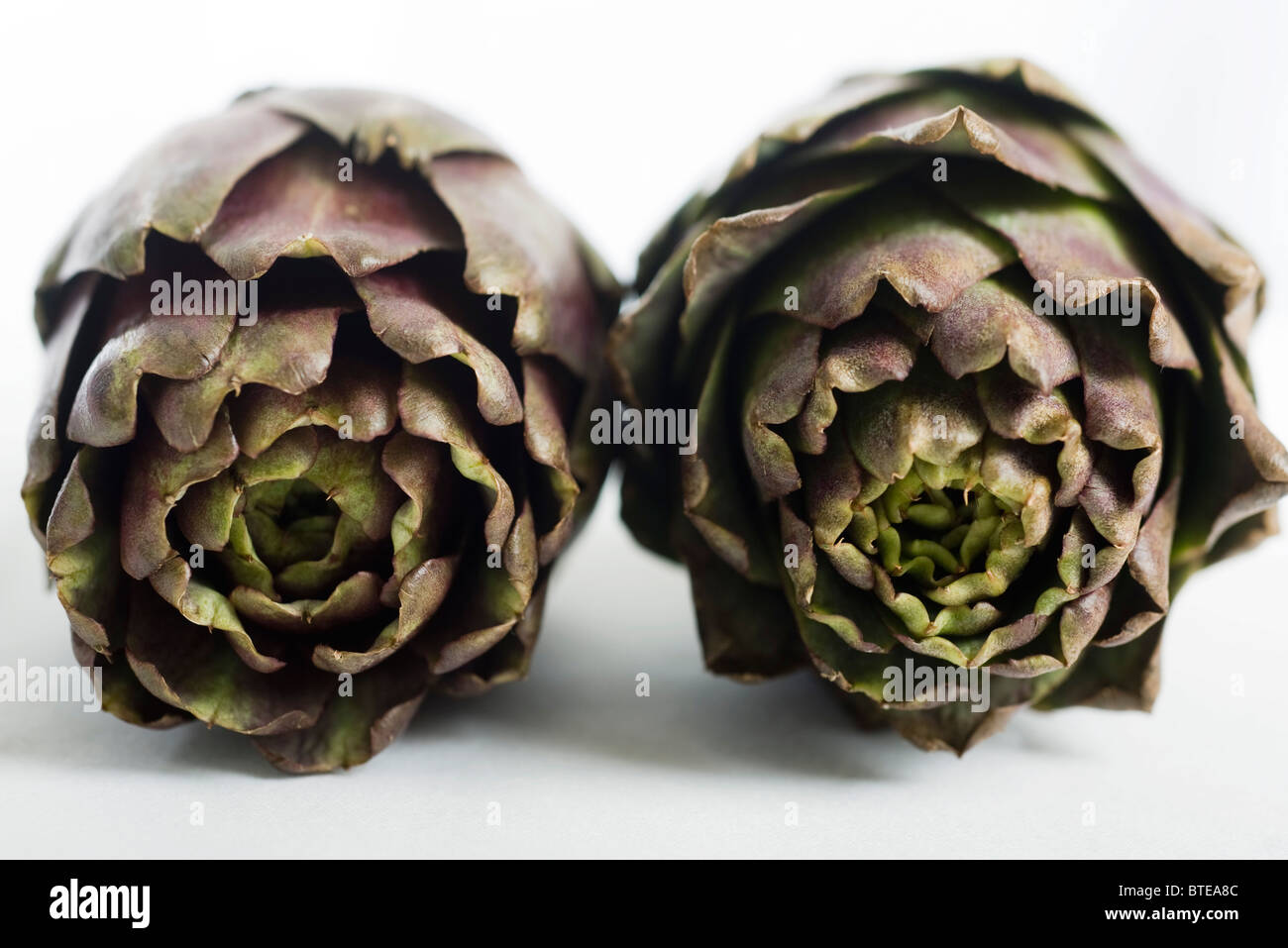 Purple artichokes Stock Photo Alamy
