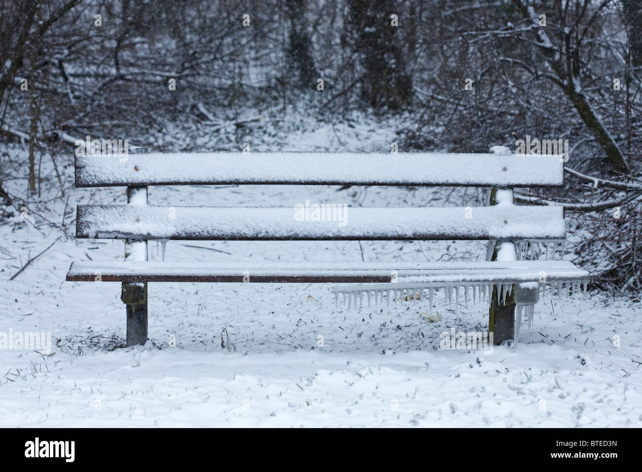 Park bench covered in snow Stock Photo - Alamy