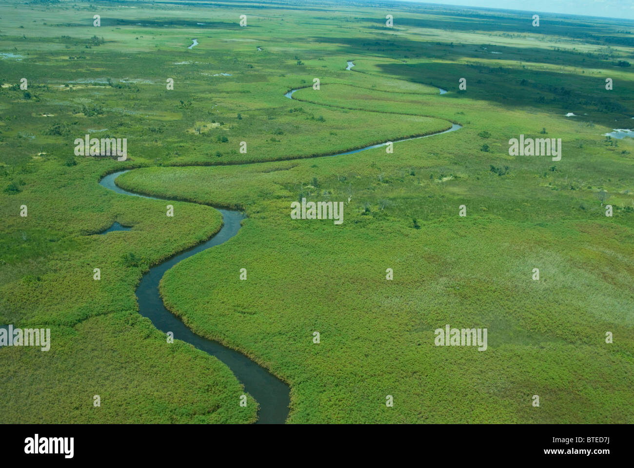 Aerial scenic view of a meandering channel flanked by papyrus reed beds Stock Photo