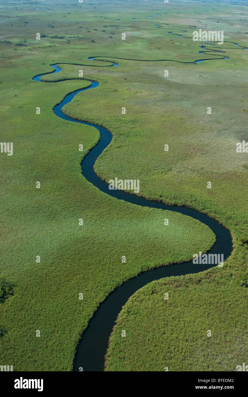 Aerial scenic view of meandering river fringed with Papyrus reedbeds Stock Photo