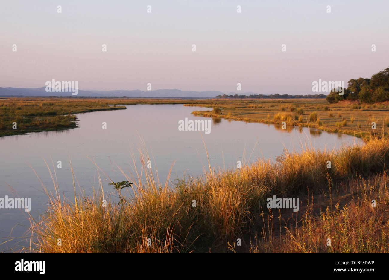 Zambezi River banks with long dry grass and water flowing by Stock Photo