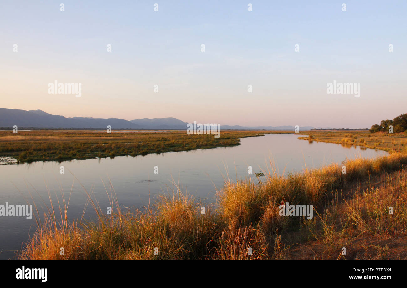 Zambezi Riverbanks with long dry grass and water in the background Stock Photo
