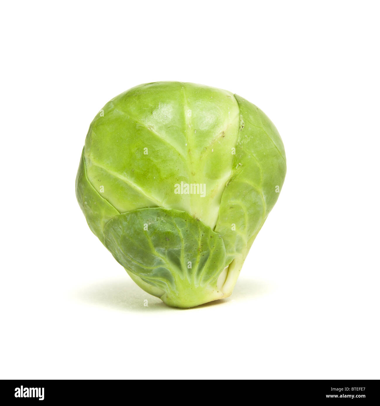 My Image 33