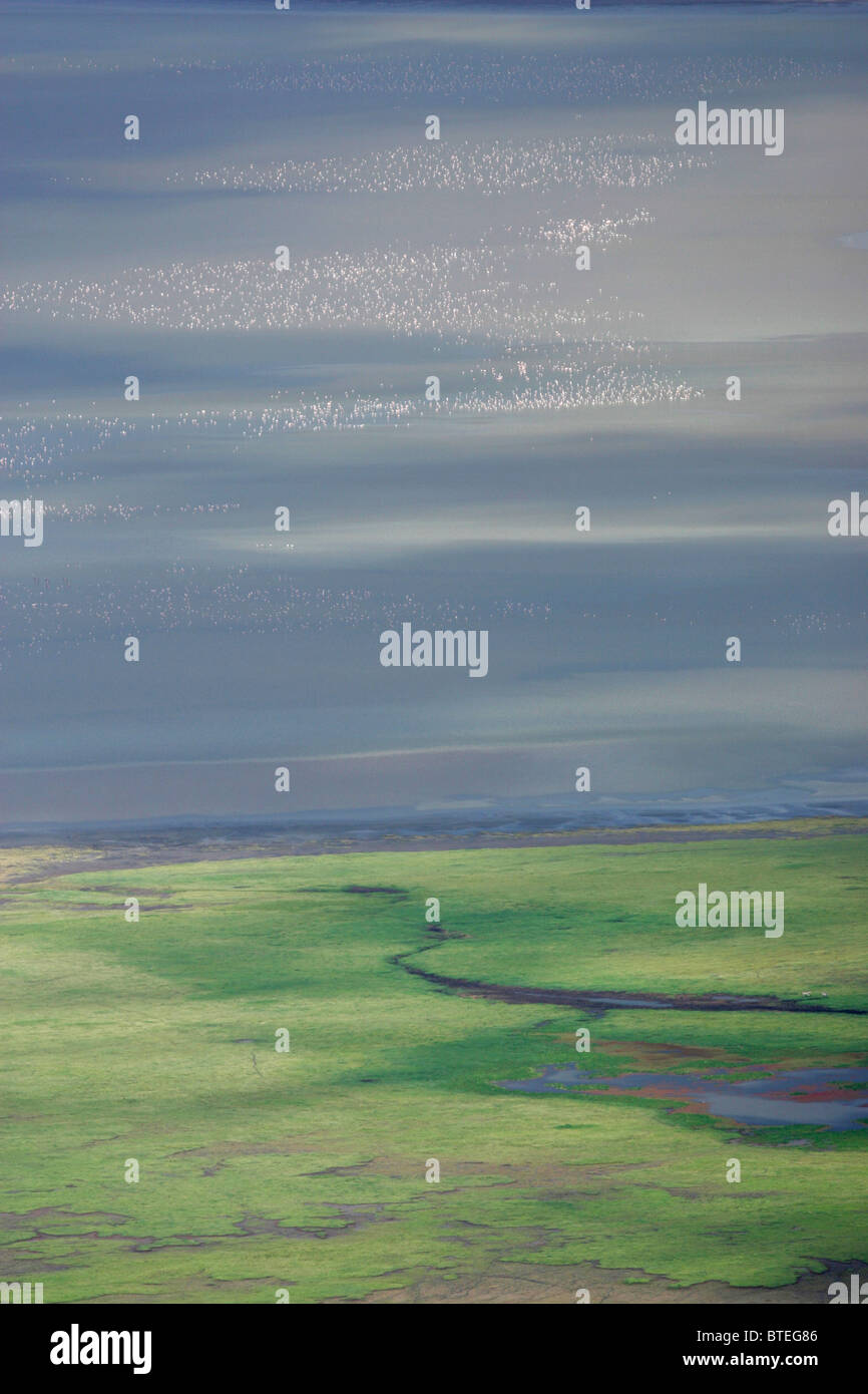 Flamingos in the lake Magadi Stock Photo