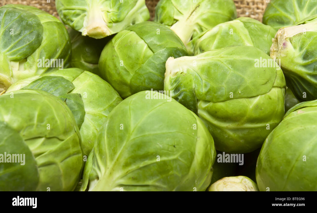 background or texture of fresh green Brussels Sprouts. Stock Photo