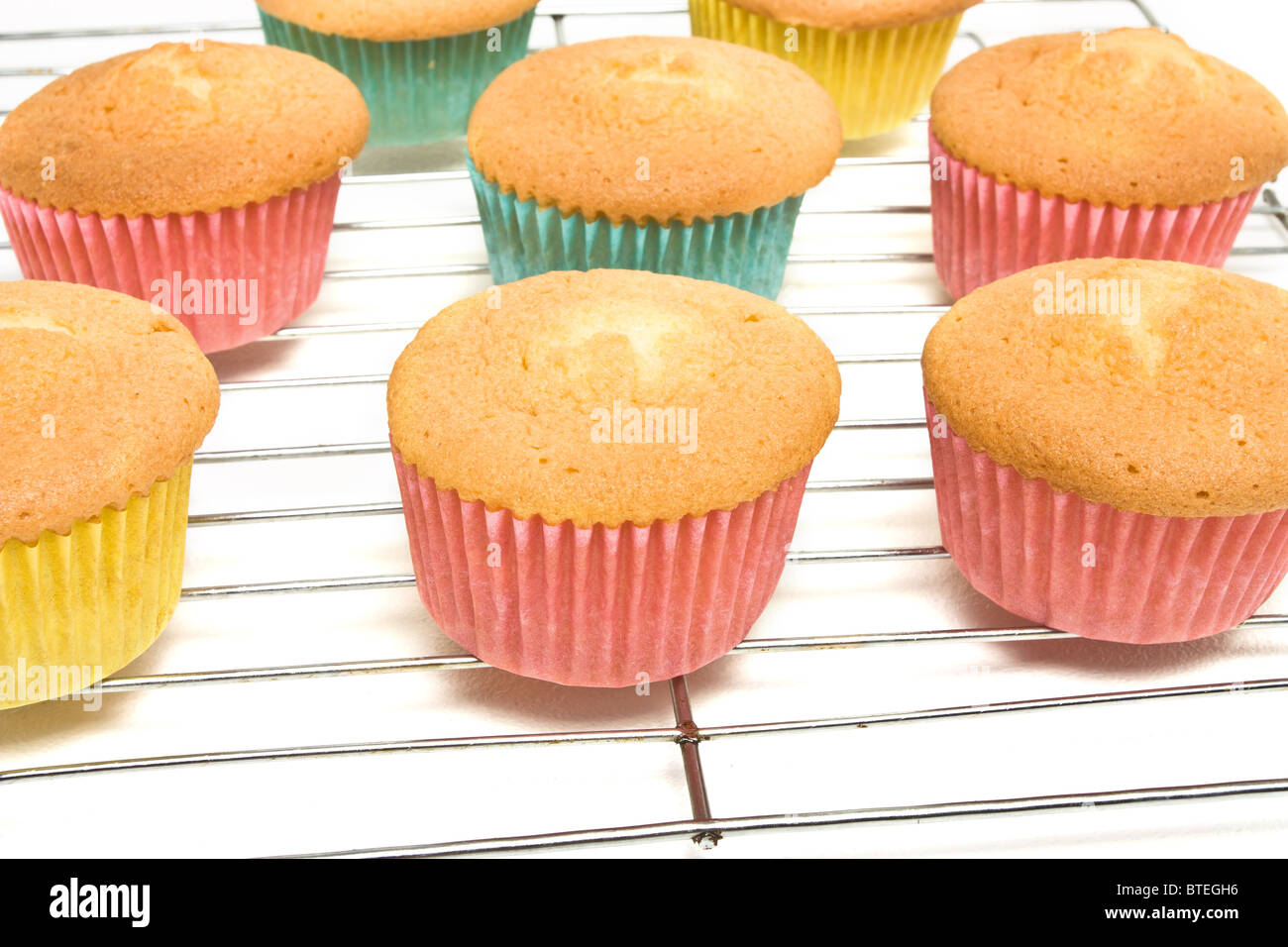 Home baked cupcakes cooling on wire mesh rack from low perspective isolated on white. Stock Photo