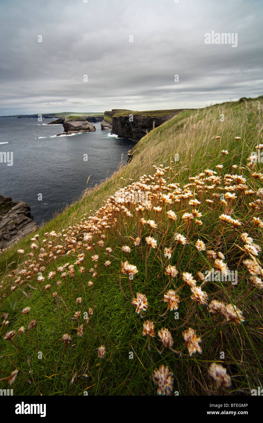 Atlantic ocean and loop head hi-res stock photography and images - Alamy