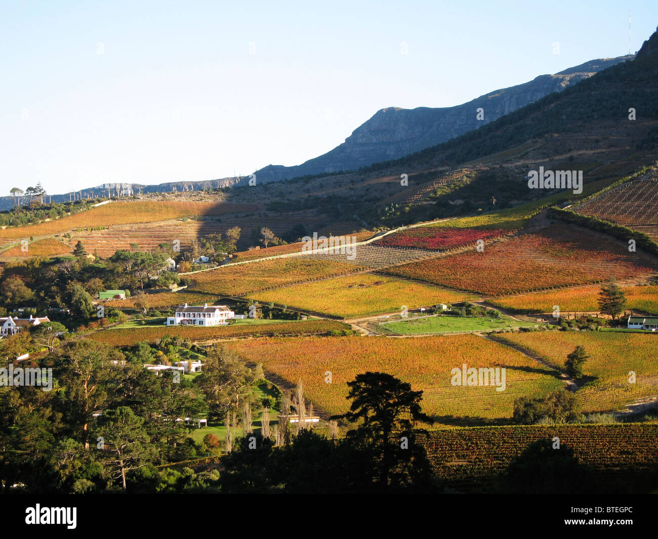 Winelands situated in a valley in Cape Town Stock Photo