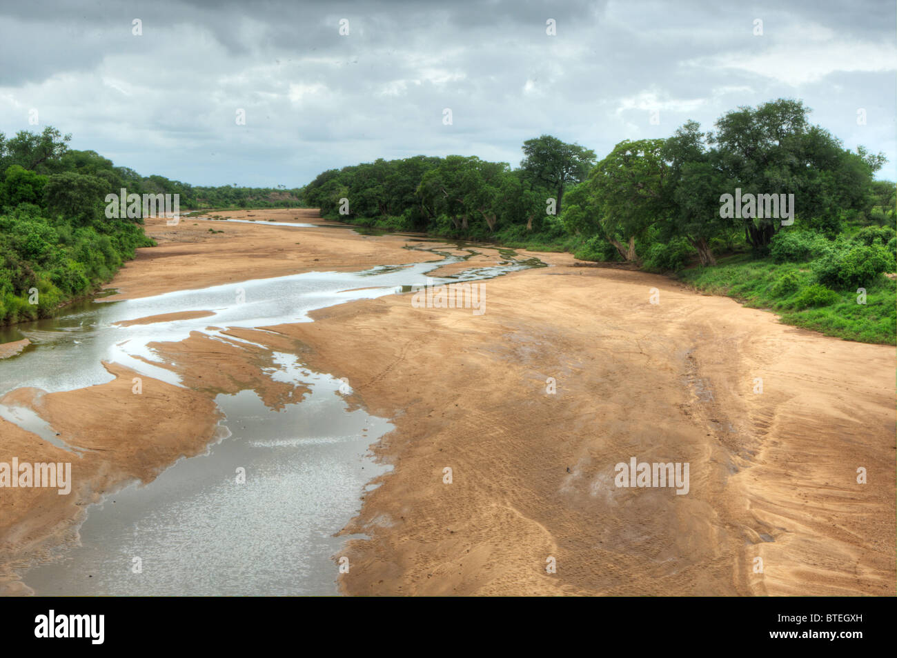 Thick vegetation hires stock photography and images Alamy