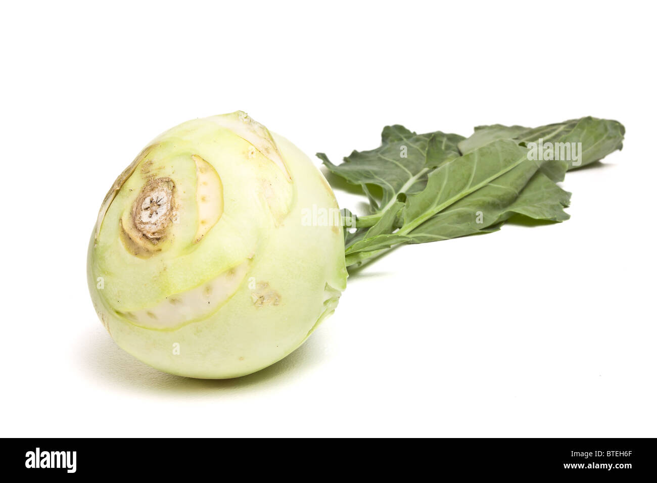 German Turnip with leaf from low perspective isolated on white. Stock Photo