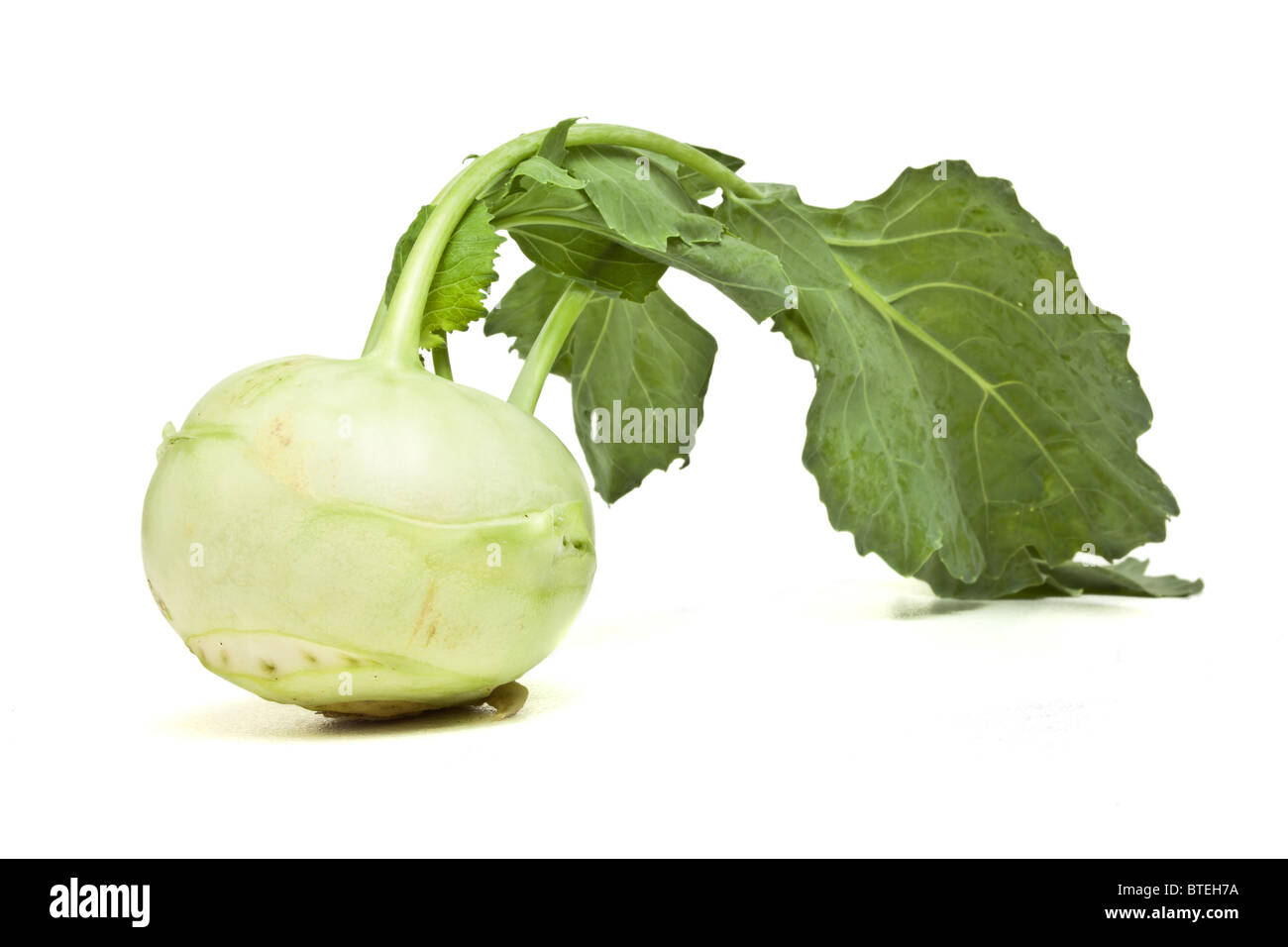 German Turnip with leaf from low perspective isolated on white. Stock Photo