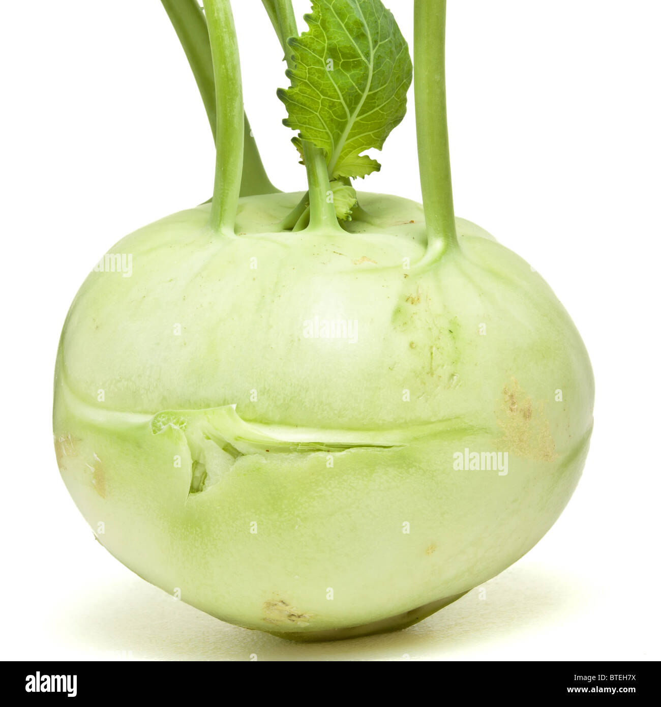 German Turnip with leaf from low perspective isolated on white Stock
