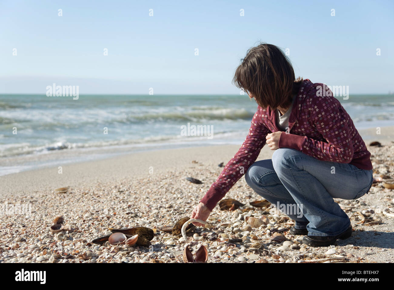 Woman collecting seashells at the beach Stock Photo Alamy