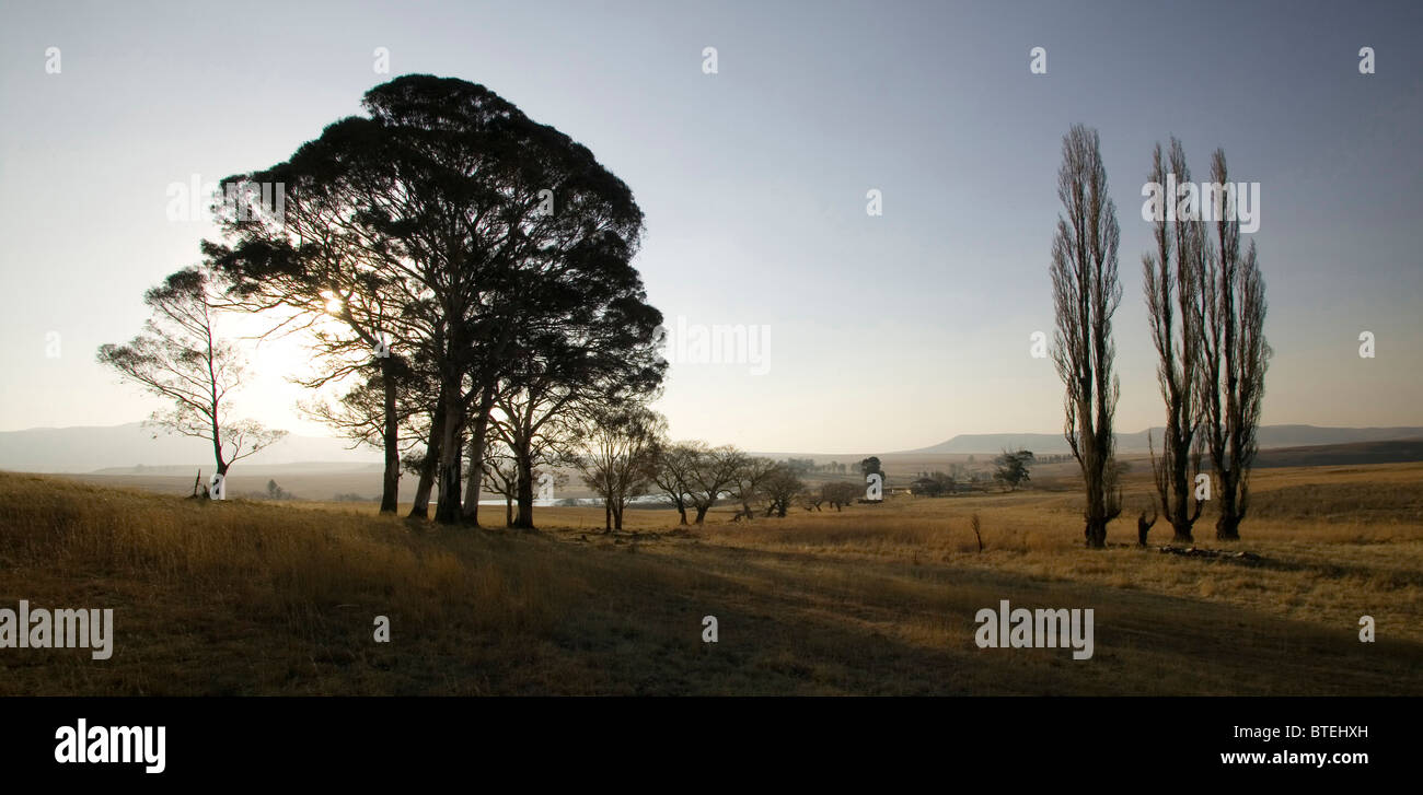 Late afternoon in Wakkerstroom Stock Photo