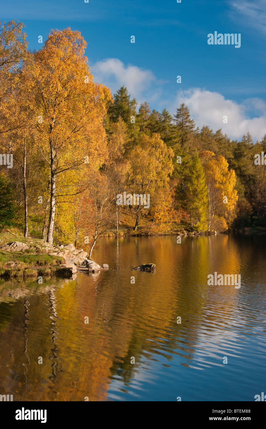 Lake colours hi-res stock photography and images - Alamy