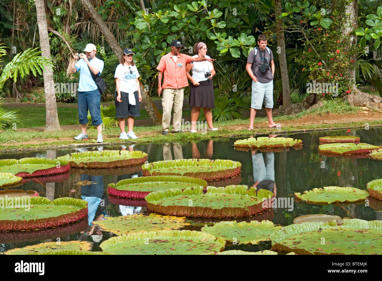 Tourists view the famous giant water lilies in the SSR Botanical