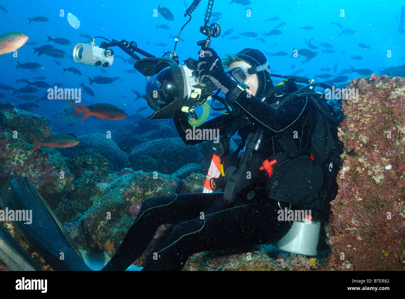 Woman scuba diver hi-res stock photography and images - Alamy