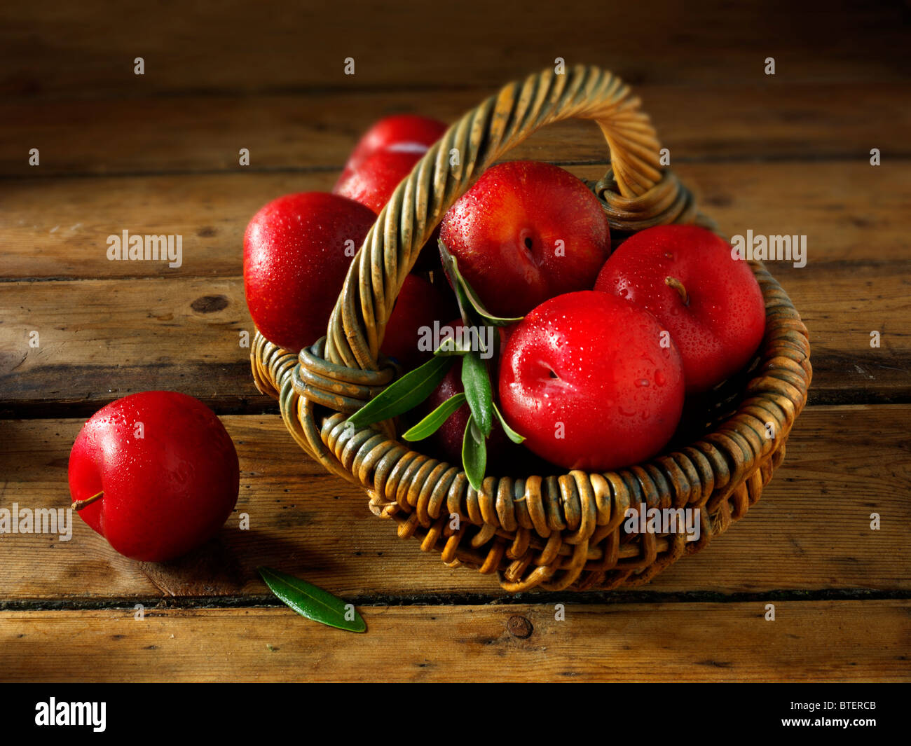 Fresh picked whole uncooked red Victoria plums in a basket Stock Photo