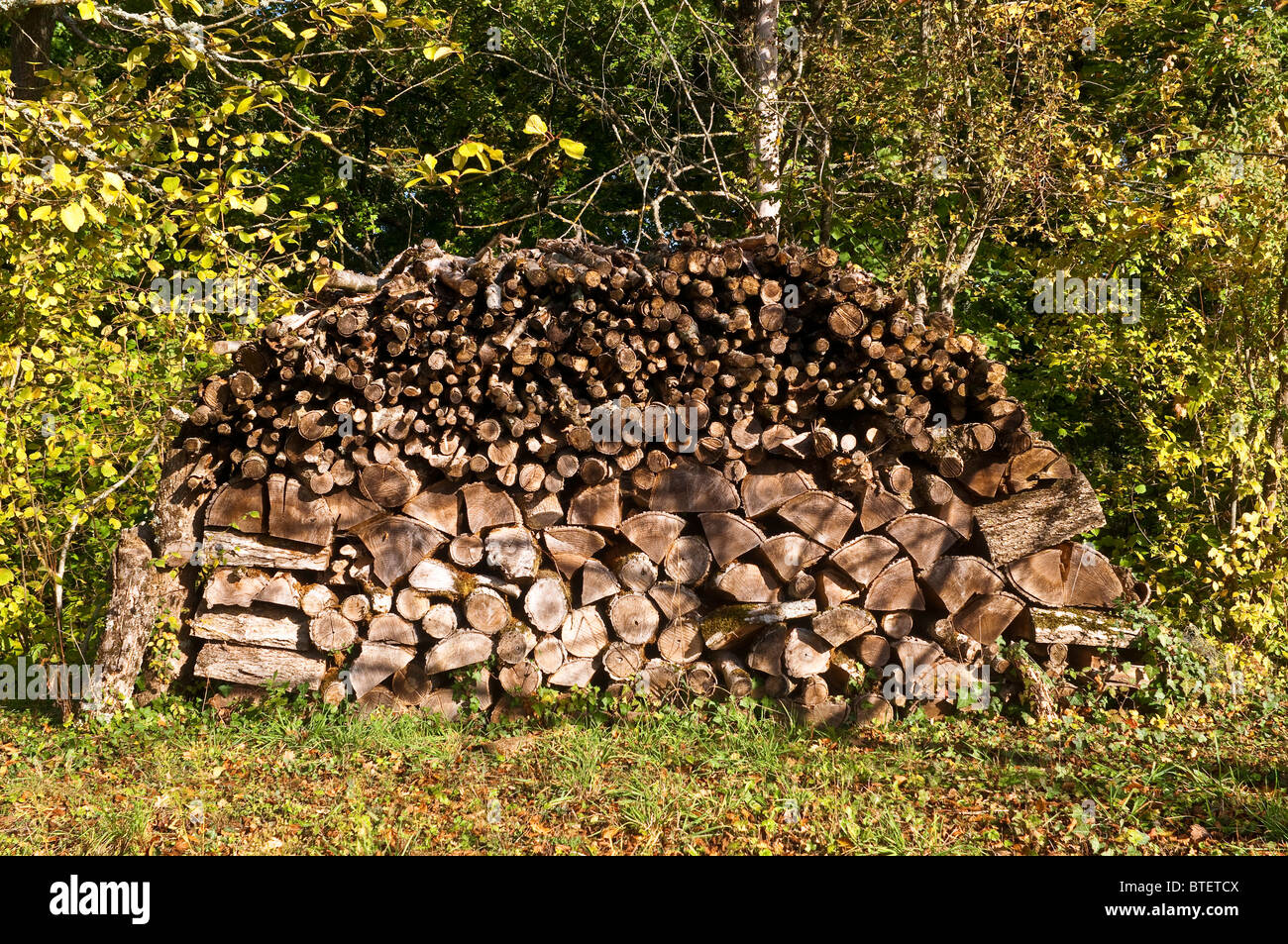 Stack of logs for Winter fuel - sud-Touraine, France. Stock Photo