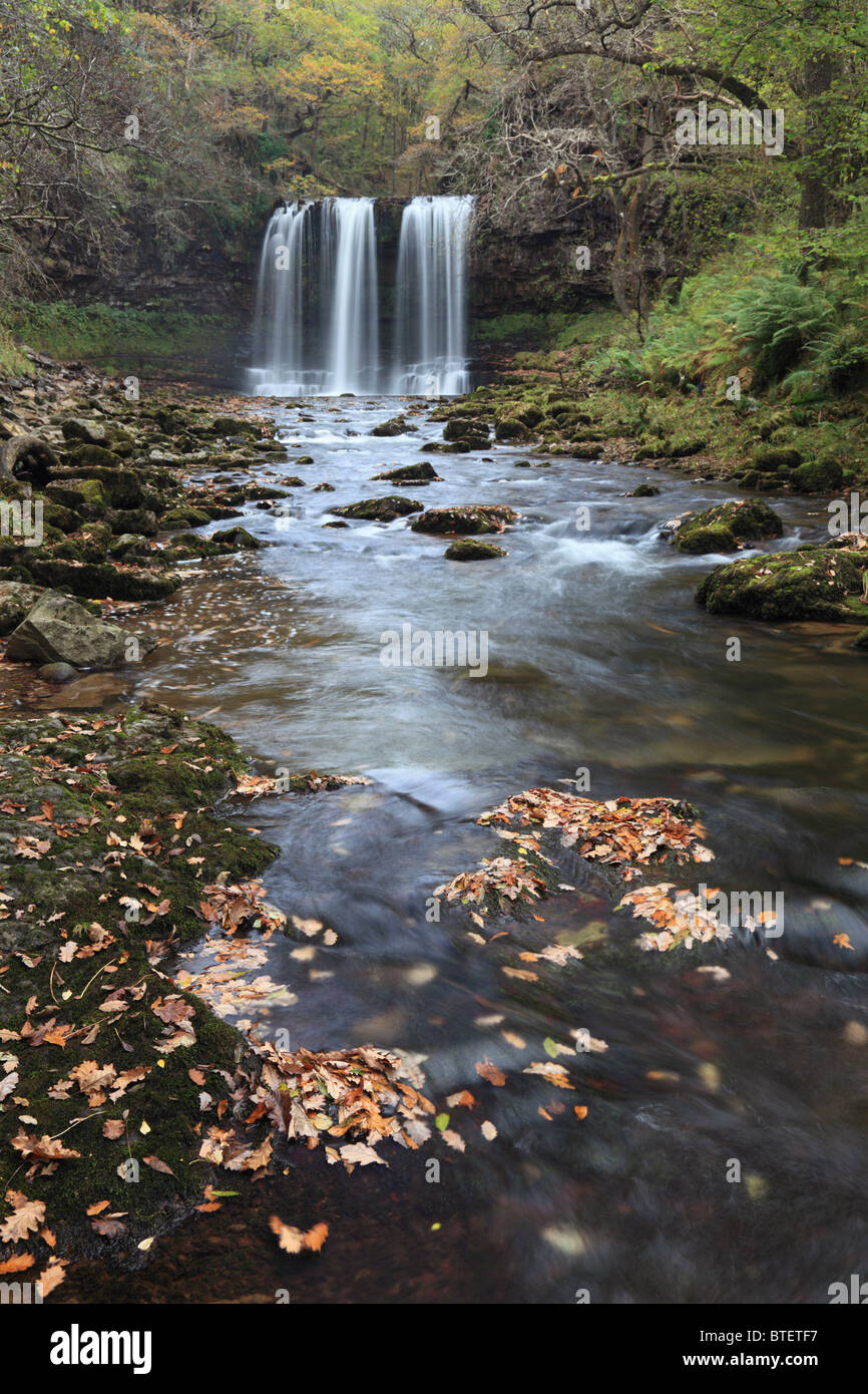 Sgwd Yr Eire Waterfall on the river Hepste in the Brecon Breacons captured in the autumn using a long shutter speed Stock Photo
