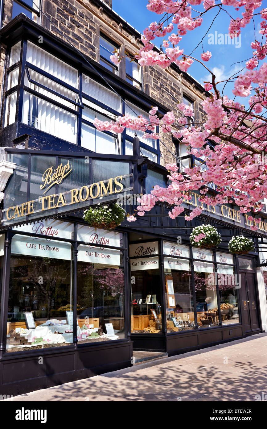 Betty's Cafe tearooms on The Grove in Ilkley, West Yorkshire, UK.Spring