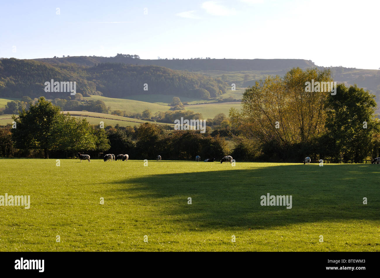 Bredon Hill from Little Comberton, Worcestershire, England, UK Stock Photo