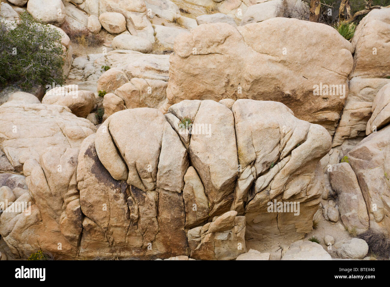 Monzogranite rock formation displaying folds, layers, and joints - California USA Stock Photo