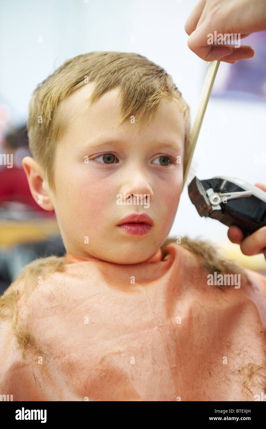 Boy getting haircut, Toronto, Ontario Stock Photo Alamy