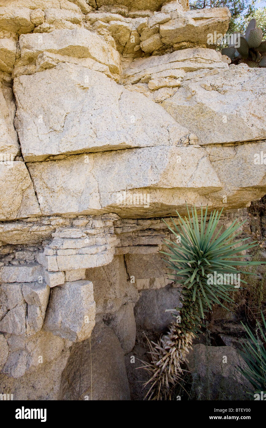 Monzogranite rock showing its layers - California USA Stock Photo