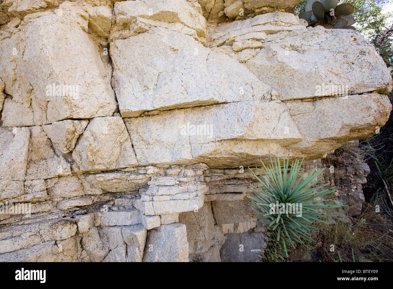 Monzogranite rock showing its layers - California USA Stock Photo