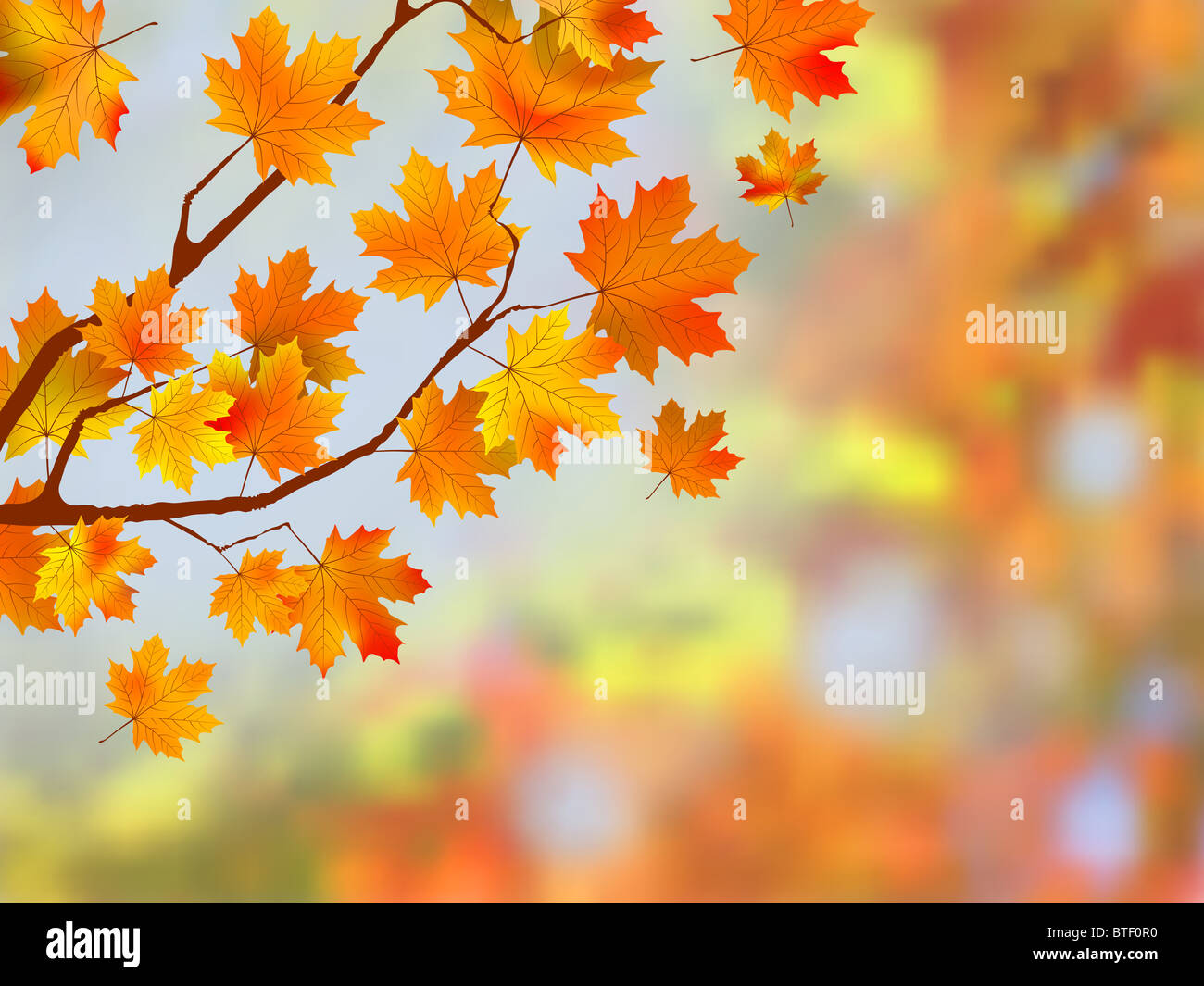 Colorful autumn leaves background Stock Photo - Alamy