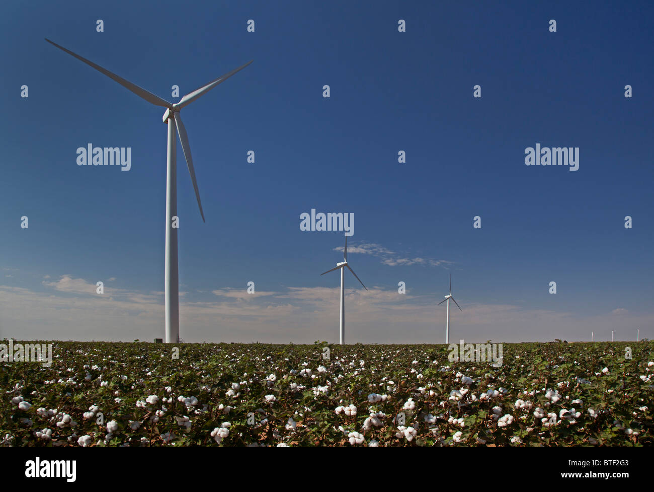 Stanton, Texas - Wind turbines in a cotton field in west Texas. Stock Photo