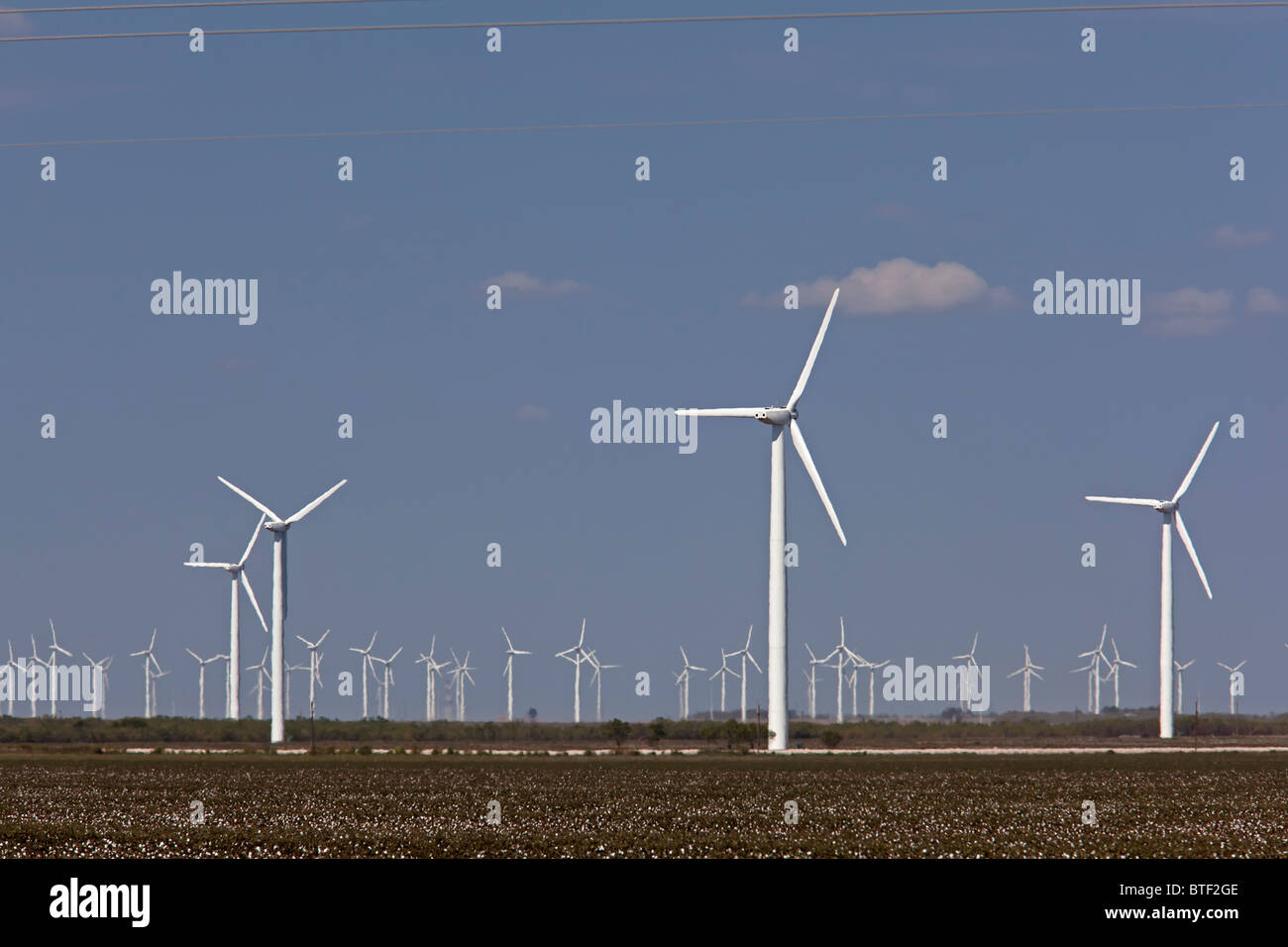 Colorado City, Texas - Wind turbines in a cotton field in west Texas. Stock Photo