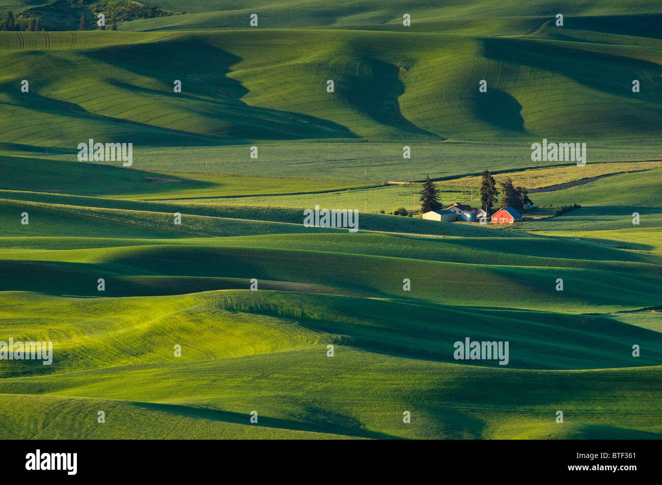 Palouse farm and wheat fields from Steptoe Butte, Washington. Stock Photo