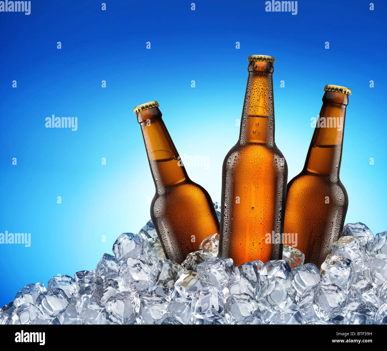 Three beer bottles getting cool in ice cubes. Isolated on a blue. File contains a path to cut Stock Photo